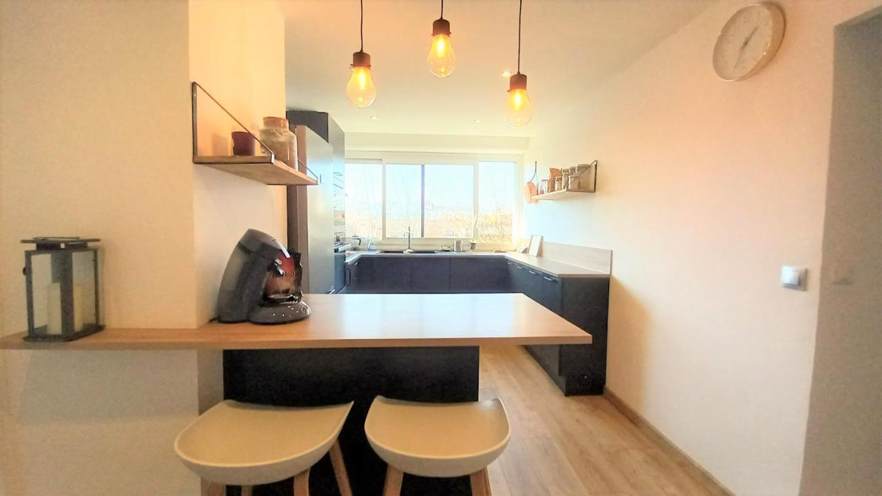 Magnifique Cocon - Metro A Republique - 2 Belles Chambres Avec Dressings - Wifi Gratuit - Netflix - Au Calme Absolu - Lumineux - Jardin Arbore Partage Dans La Residence Villeurbanne Eksteriør billede